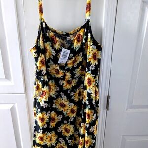 Torrid Sunflower and Daisies Skater Dress